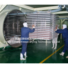 Máquina de secagem por congelamento a vácuo de temperos